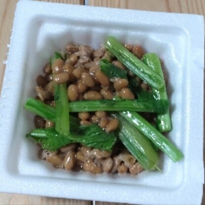 こざかなアーモンドさん☺️
お昼に、小松菜の納豆和え、とてもおいしかったです✨
レポ、ありがとうございます(⁠◕⁠ᴗ⁠◕⁠✿⁠)